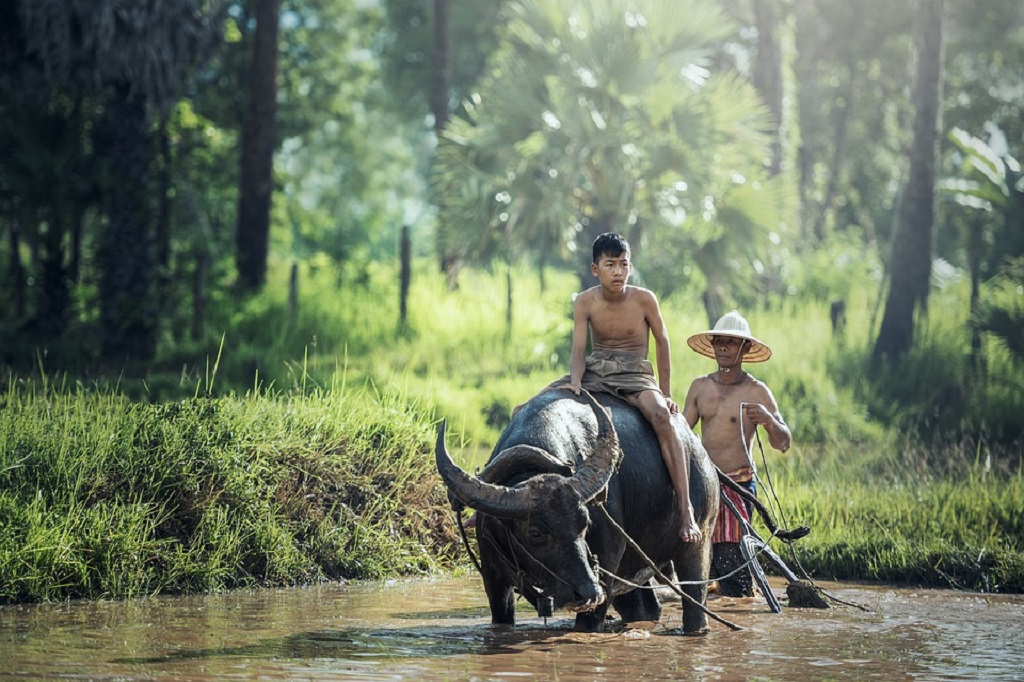 MEKAR SALURKAN PEMBIAYAAN PETANI DI JAWA BARAT