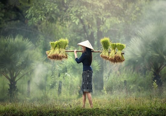 bantu kesejahteraan petani picture