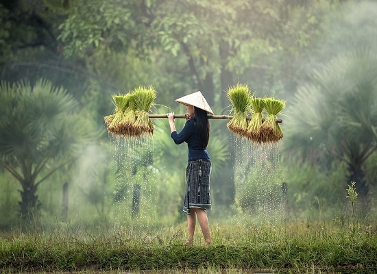 bantu kesejahteraan petani picture