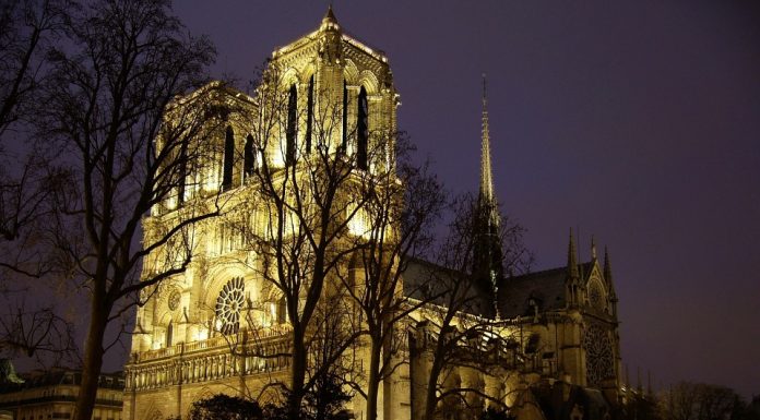 Rekonstruksi Notre Dame picture