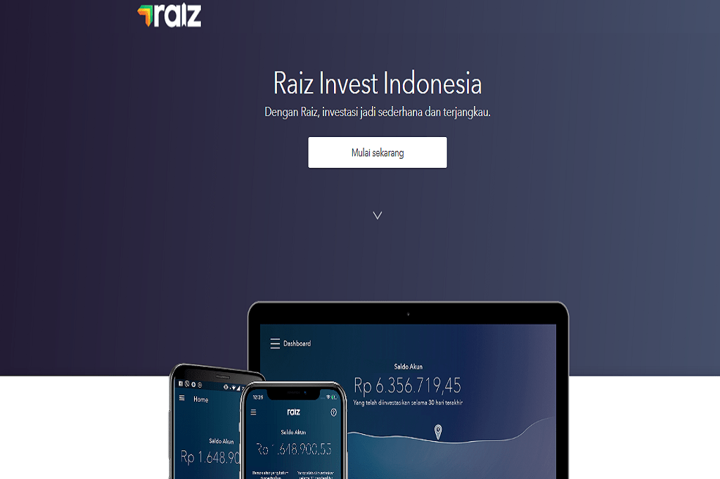 raiz invest picture