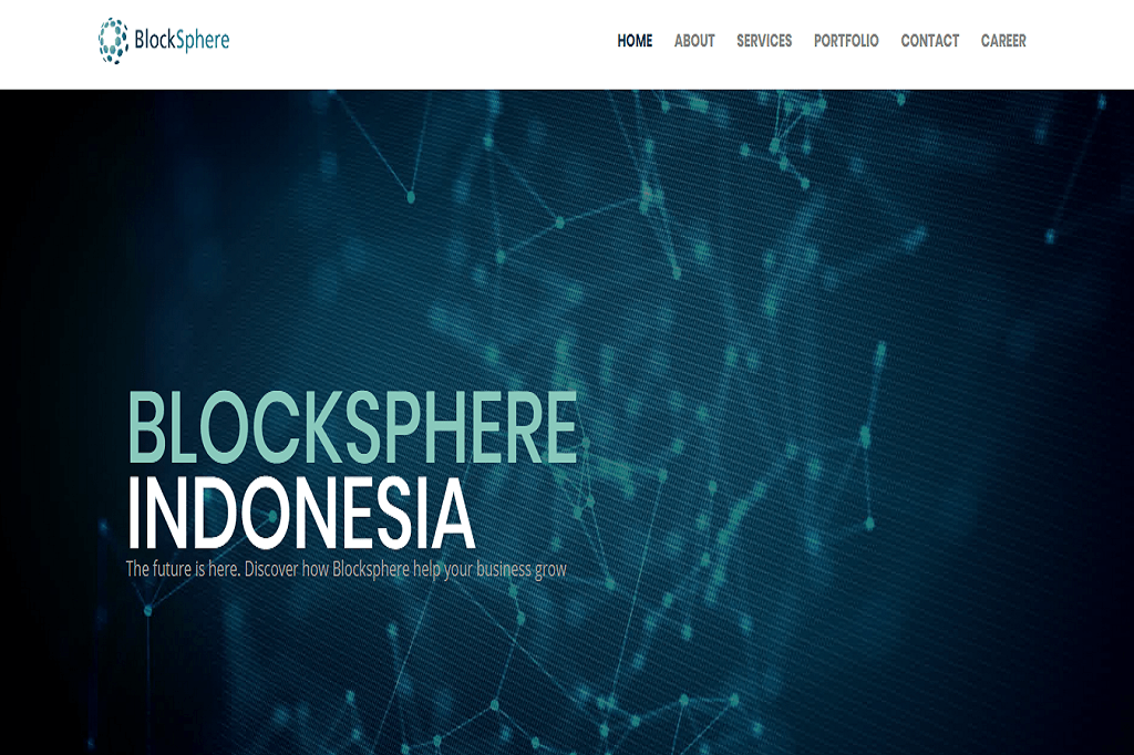 Blocksphere picture