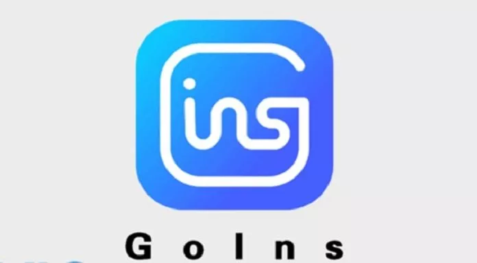 Review Aplikasi Goins