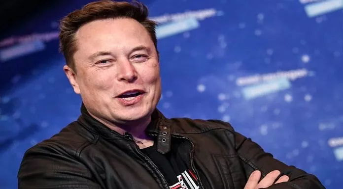 Elon Musk Promosikan Shiba Inu