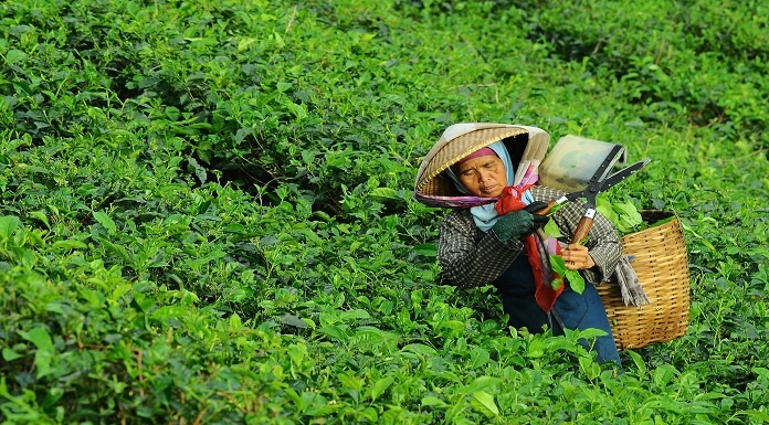 digitalisasi 100 ribu petani