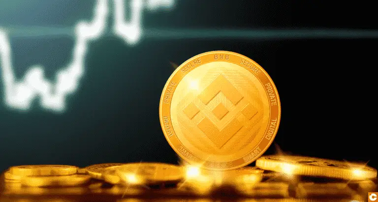 Semua Tentang Binance Coin Lengkap dengan Prediksi Harga