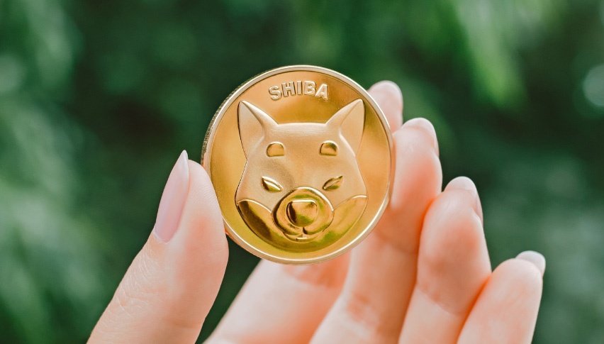 Shiba Inu Cetak Rekor dan Tak Perlu Elon Musk Lagi, Ini Cara Belinya di Indodax