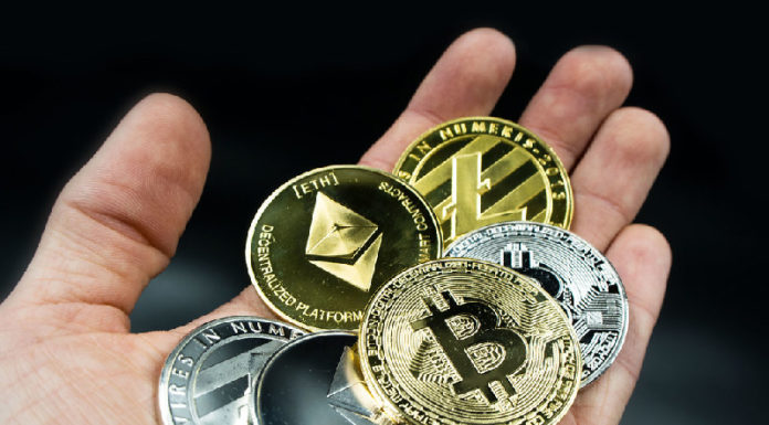 hasil survei kripto bitcoin