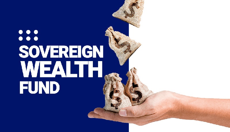 Sovereign wealth fund