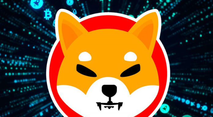 crypto shiba inu