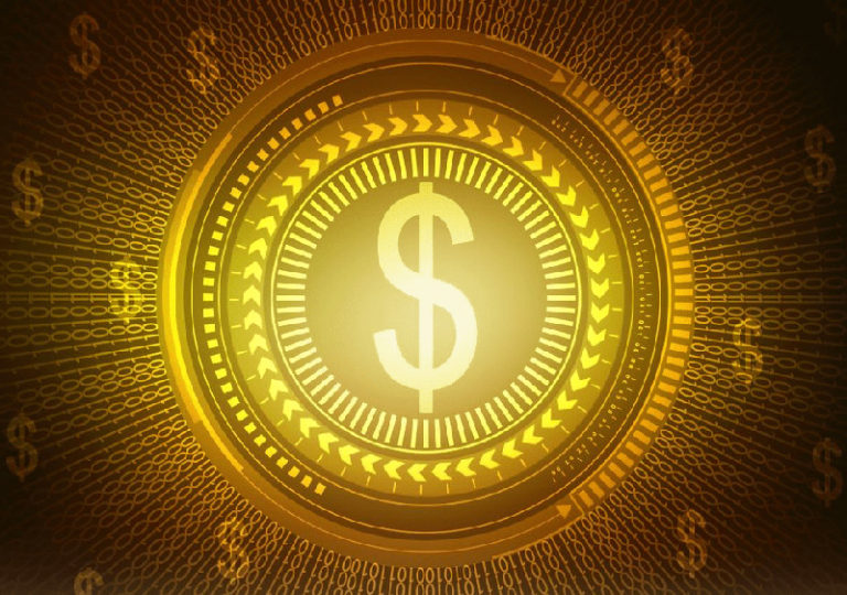 Koin Micin Memiliki Tantangan dan Pentingnya Dalam Investasi