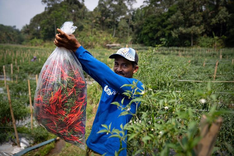 sektor pertanian dan perikanan agritech