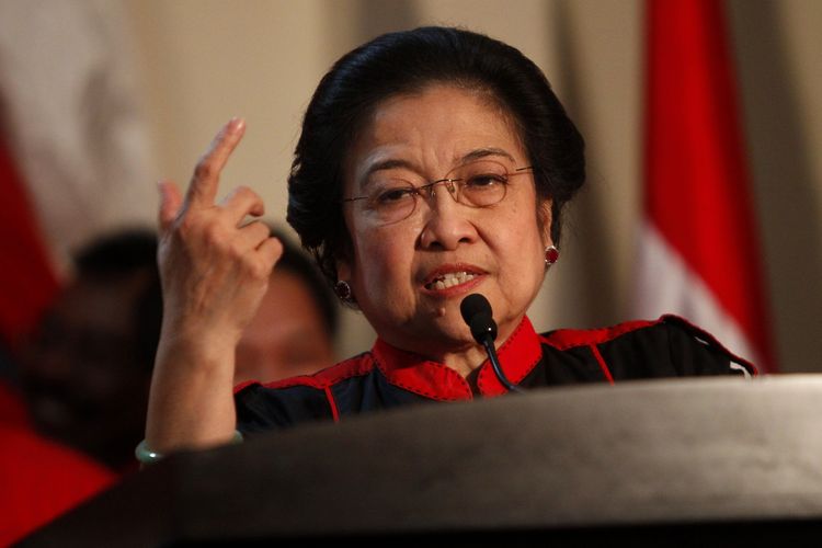 Megawati kritik minyak goreng