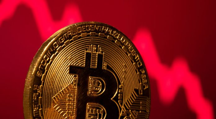 investor bitcoin kripto