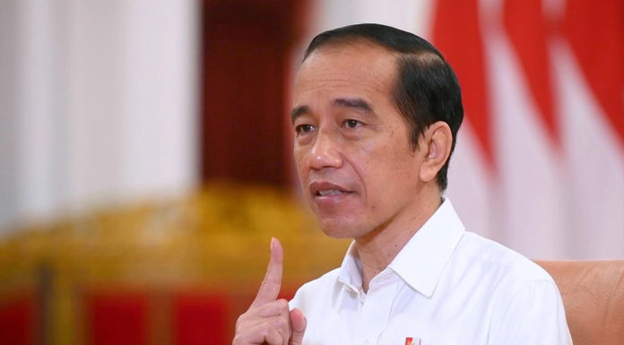 jokowi ekspor minyak goreng