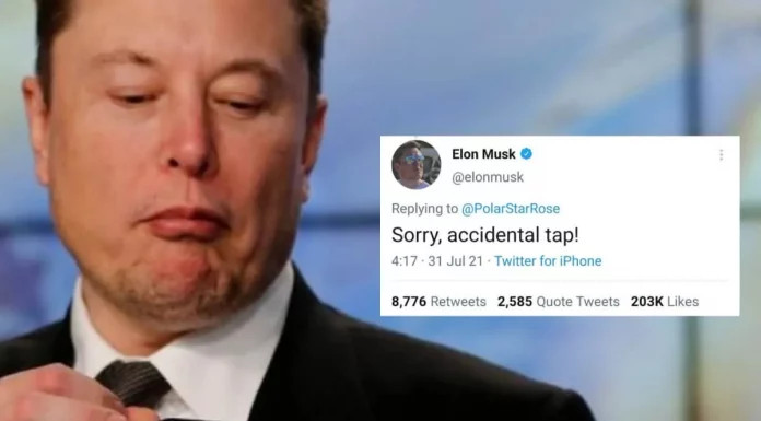 Elon Musk Investor Twitter