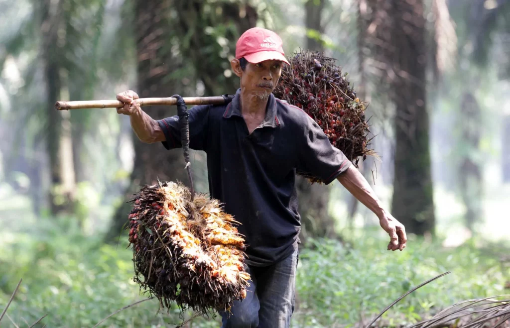 Jokowi Petani