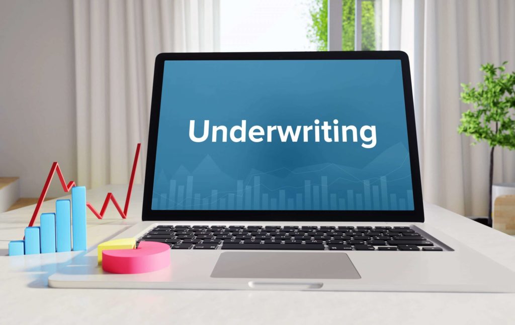 Underwriter Adalah