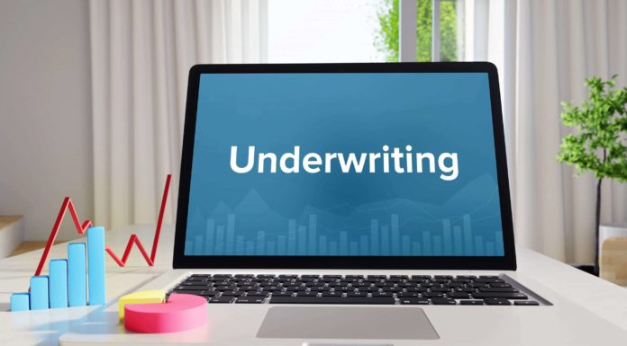 Underwriter Adalah