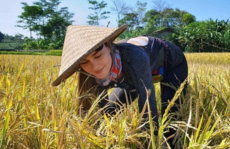 Mengenal Asuransi Pertanian hingga Jenis dan Cara Kerjanya