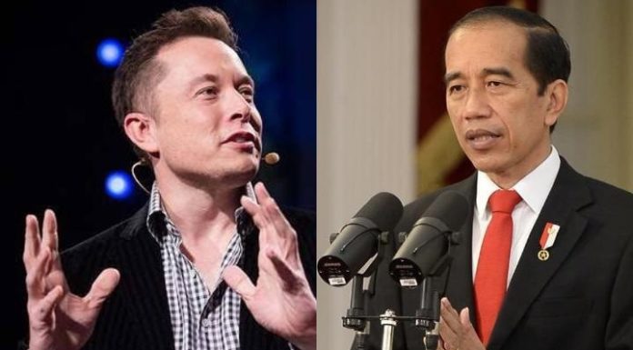 jokowi elon musk