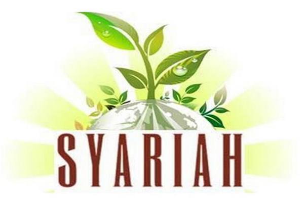 literasi keuangan syariah Indonesia.jpeg