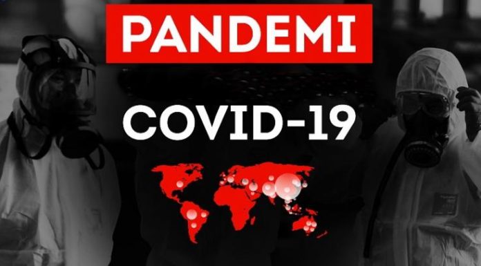 pandemi menuju endemi