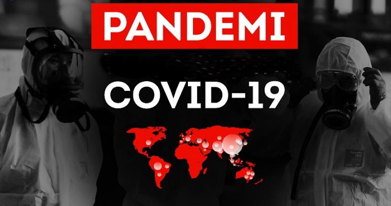 pandemi menuju endemi