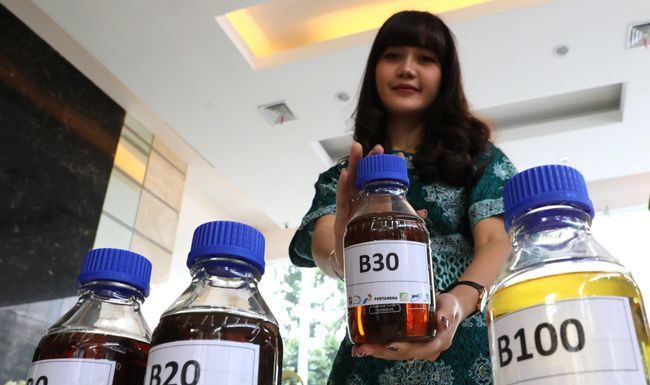 bio solar minyak sawit