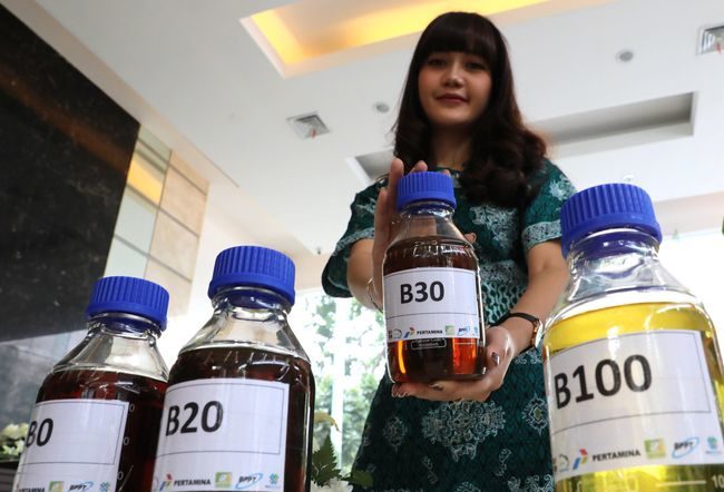 bio solar minyak sawit