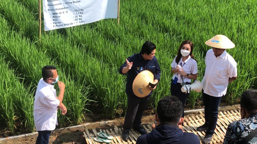 Menteri Erick Kedaulatan Pangan