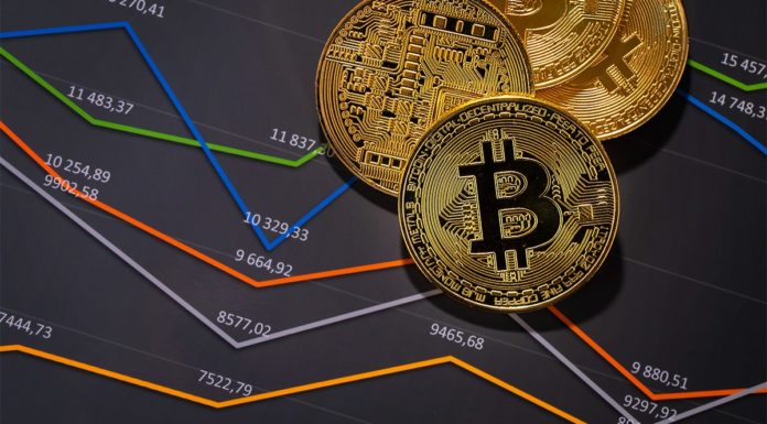 Tutorial Investasi Crypto