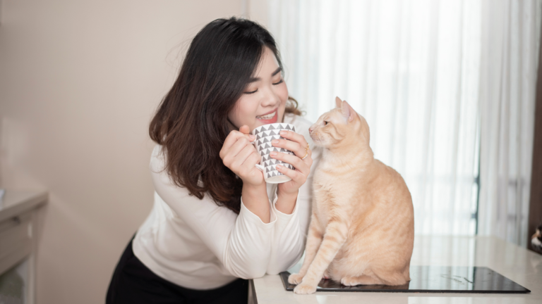 Asuransi Hewan: Jenis, Manfaat, hingga Rekomendasi Produk