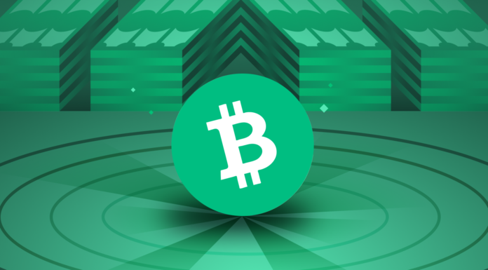 Keuntungan Investasi Bitcoin Cash