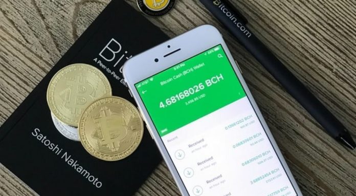 Tips Investasi Bitcoin Cash