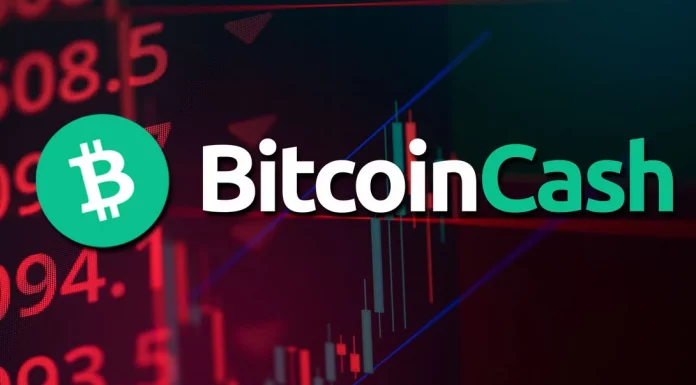 Tips Investasi Bitcoin Cash