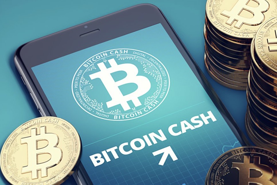 Investasi Bitcoin Cash