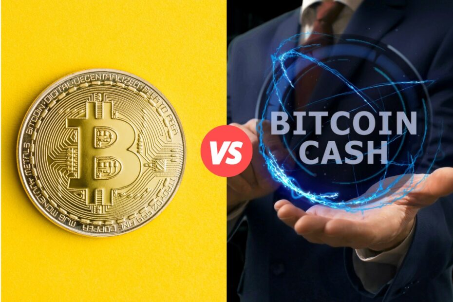 Keuntungan Investasi Bitcoin Cash apa Saja ya?