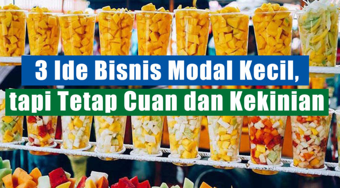 usaha modal kecil untung besar