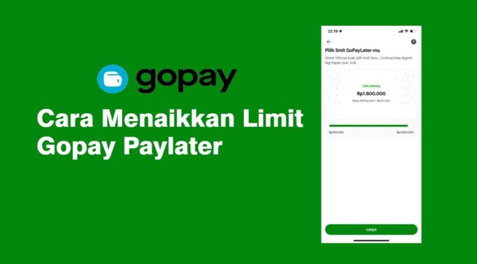 Limit GoPay PayLater Naik