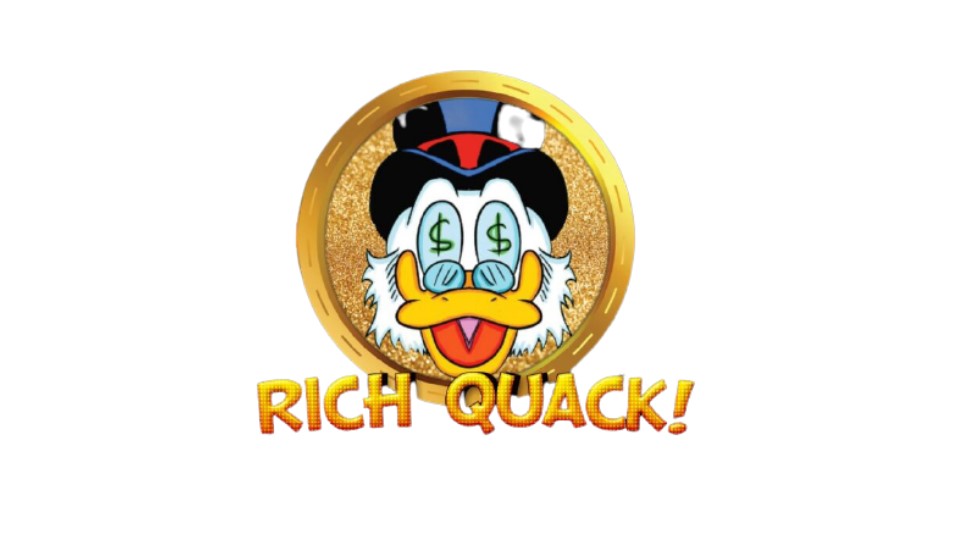 Investasi Koin Micin Rich Quack: Resiko dan Profile Investor