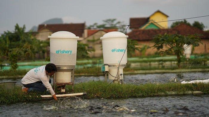 Berita Startup Hari Ini