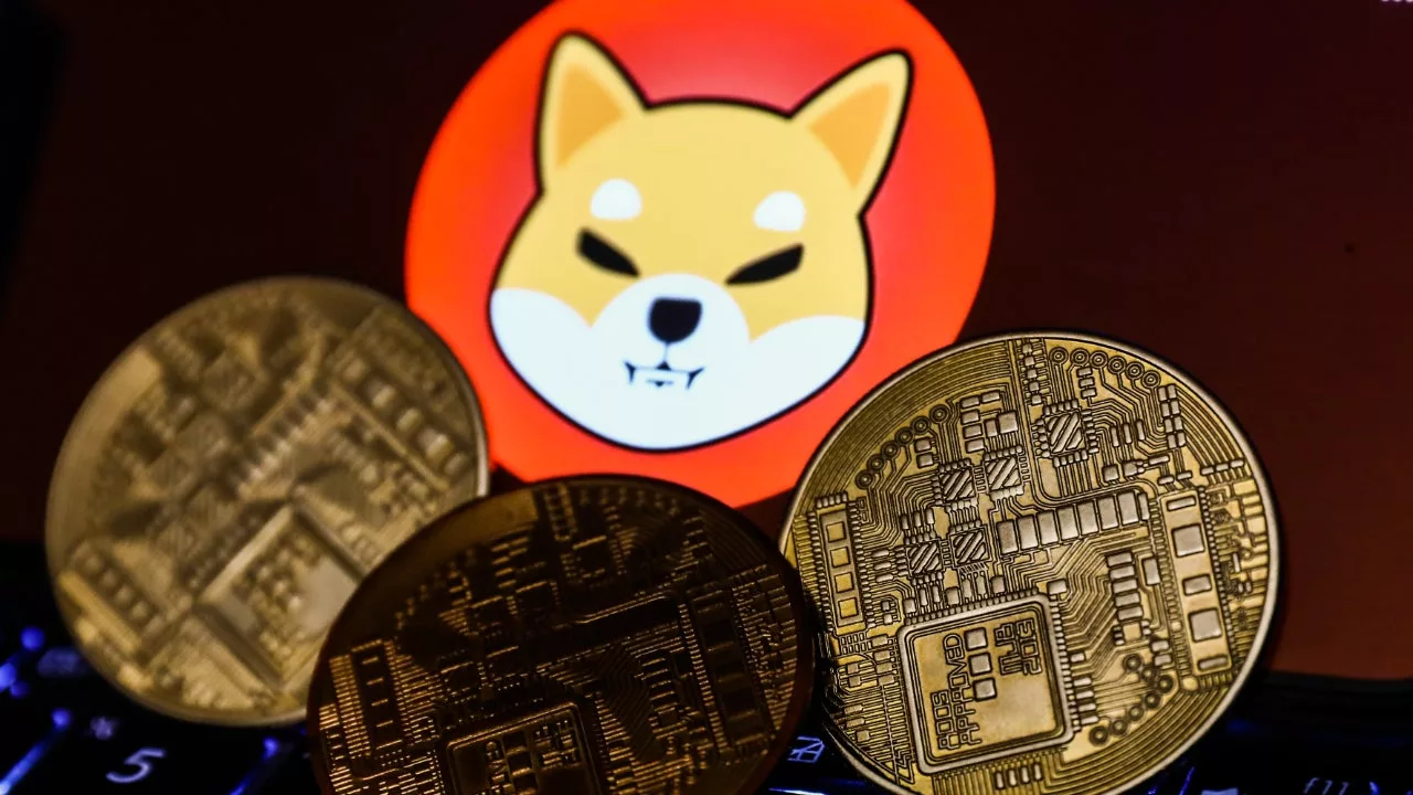 Shiba Inu Catatkan Lonjakan 240% pada Metrik Kunci Ini