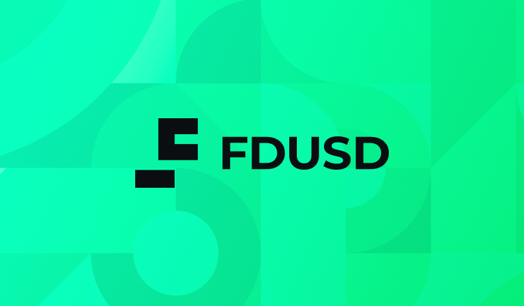 First Digital USD (FDUSD) Burn $390 Juta dalam Seminggu: Apa Artinya?