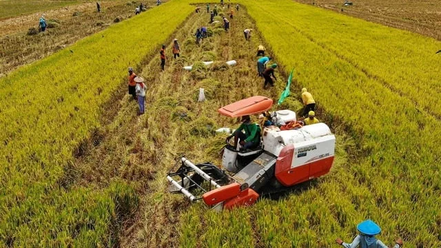 Sistem Canggih Ini Bantu Indonesia Capai Swasembada Pangan!