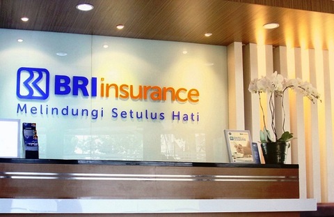 Bri Insurance