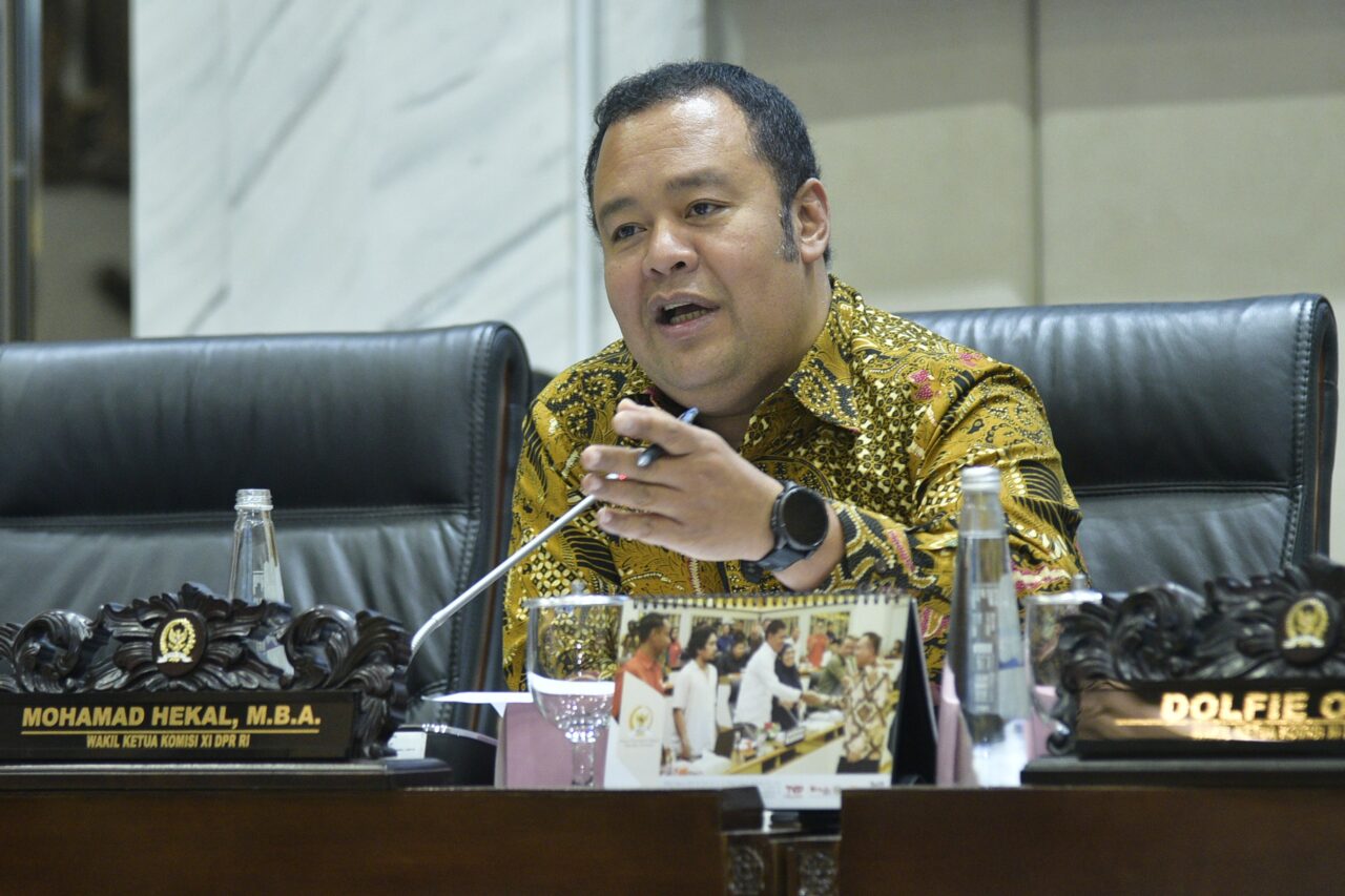 Wakil Ketua Komisi XI Mohamad Haekal