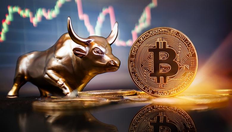 bitcoin bullish nih