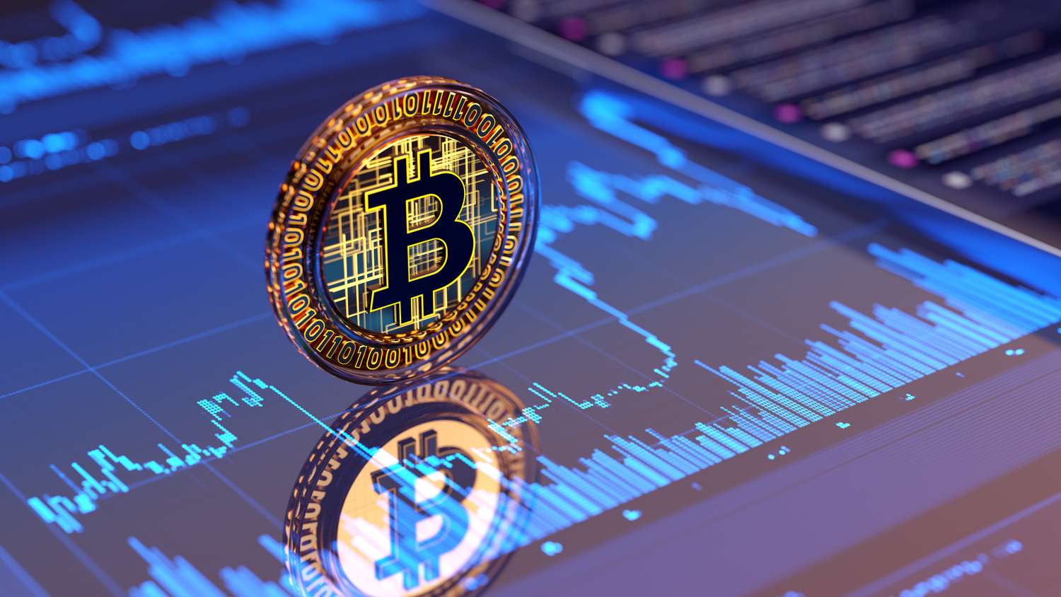 cara sukses investasi Bitcoin
